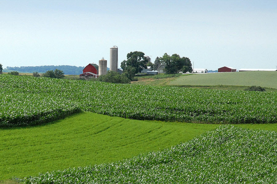 Green farmland with a red barn near Cassville, Wisconsin
