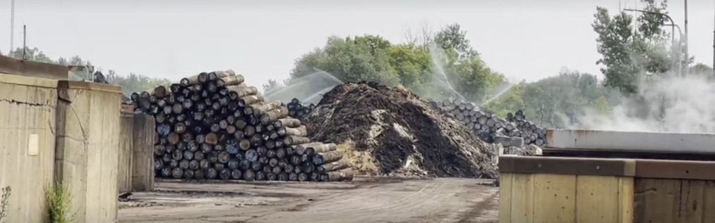 Pile of logs