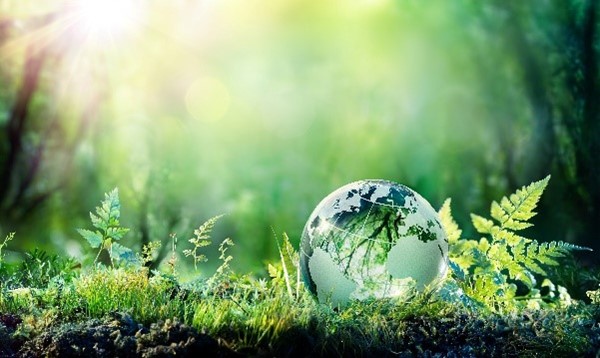 Earth among shades of green