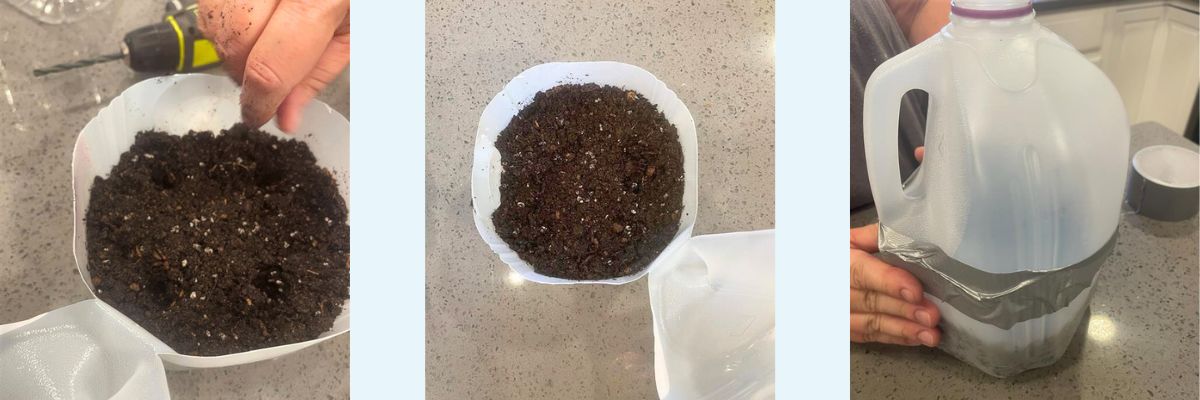Three images side by side that depict the process of planting the seeds and securing the greenhouse with tape. The photo on the left depicts planting seeds in the soil. The photo in the middle depicts the sewn soil. The photo on the right depicts the bottle secured by duct tape.
