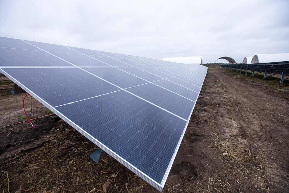 A row of solar panels with farm building in the background.