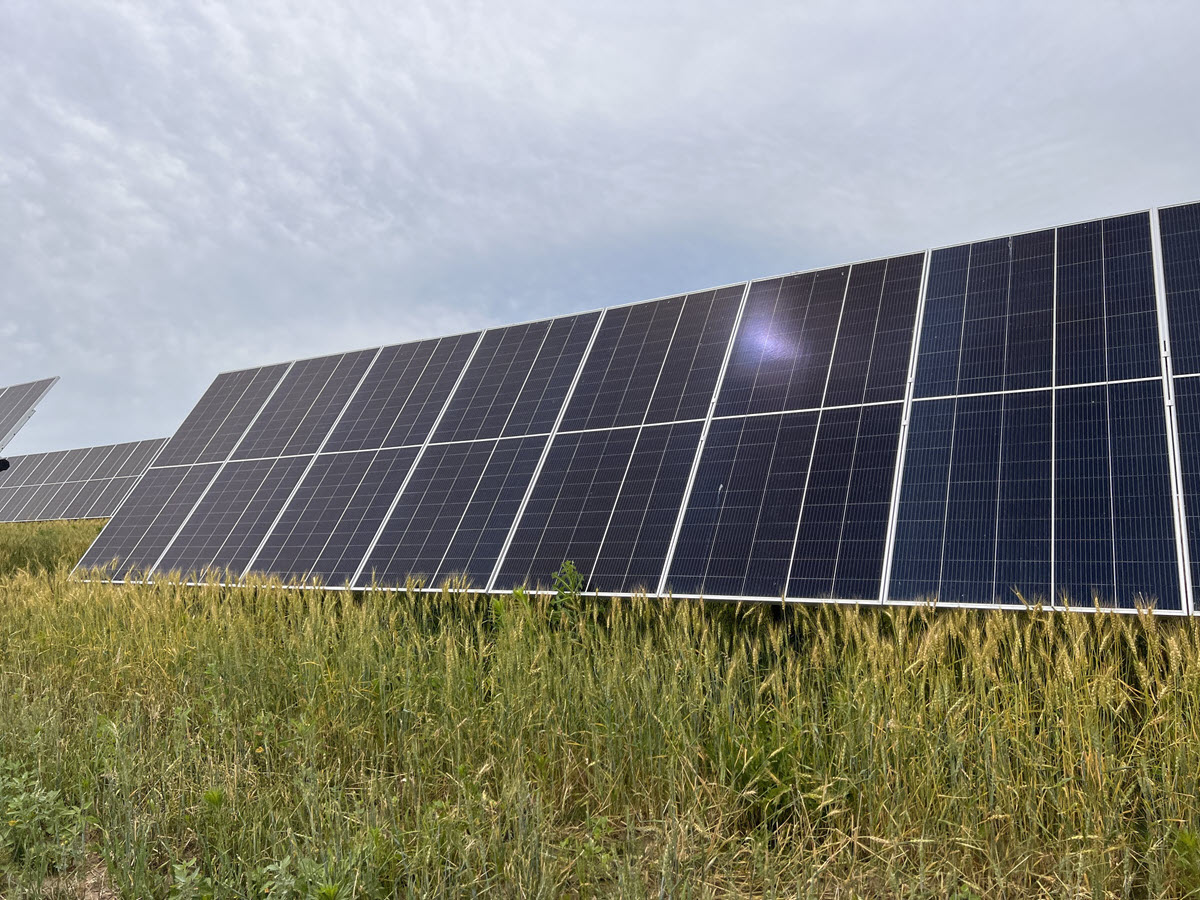 Row of panels at Alliant Energy's North Rock Solar site