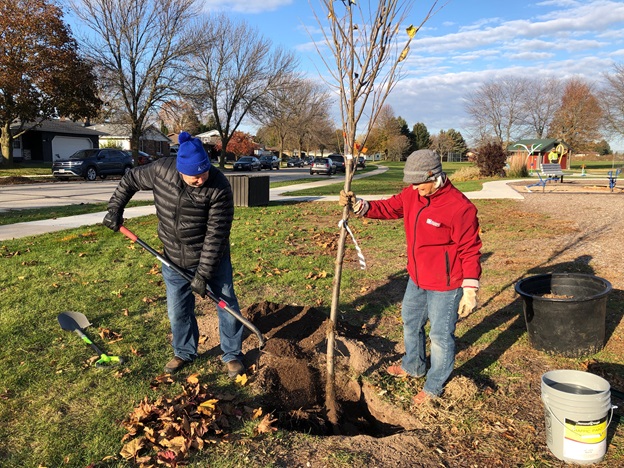 People planting a tree