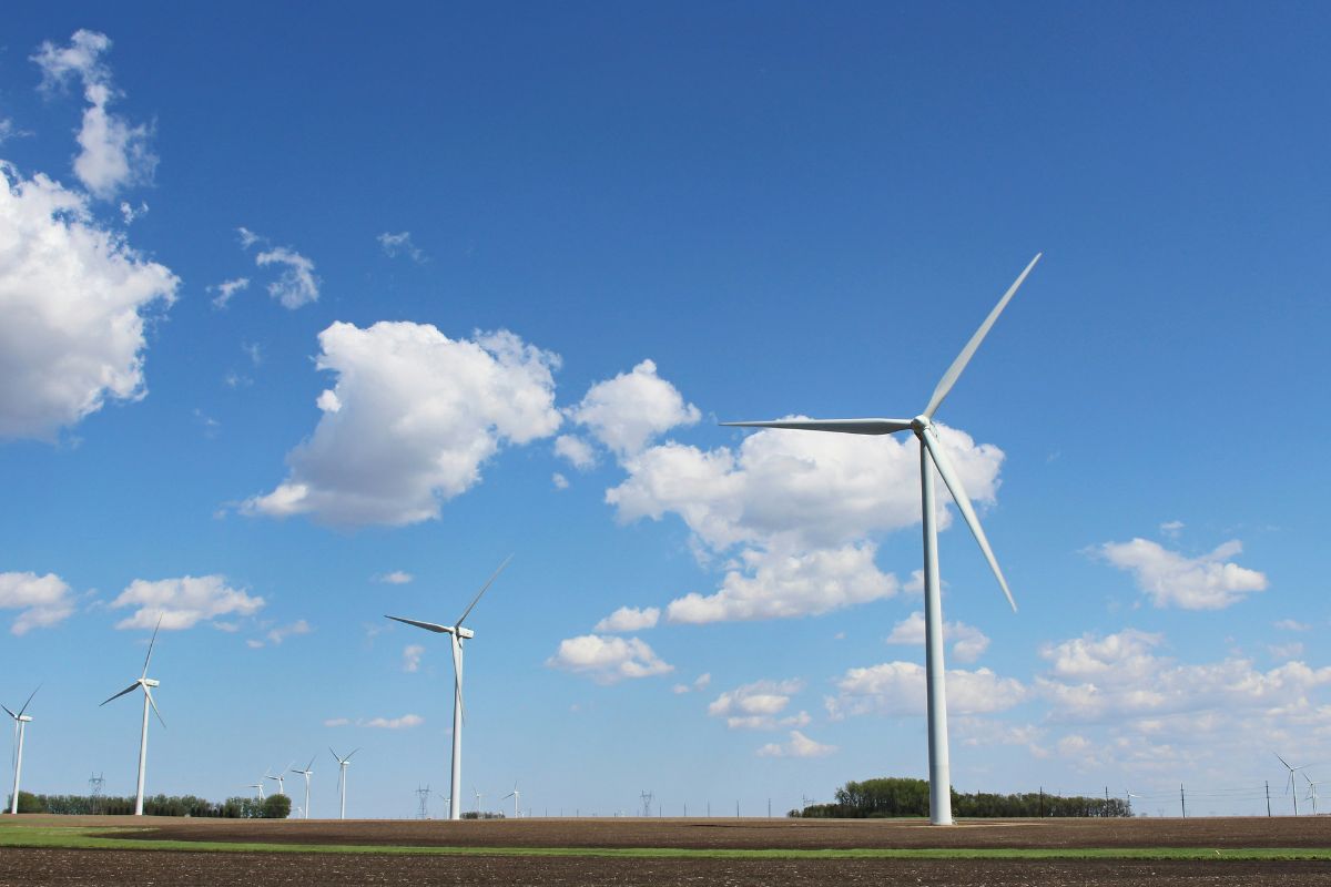 Wind turbines in an open field. 