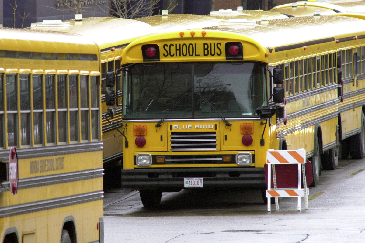 one school bus in focus along other school buses in row
