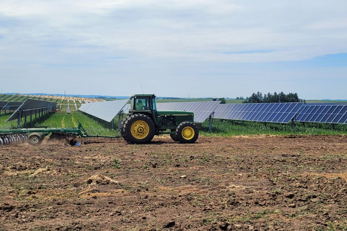 Tractor pulling plow across a field in front of an array of solar panels. 