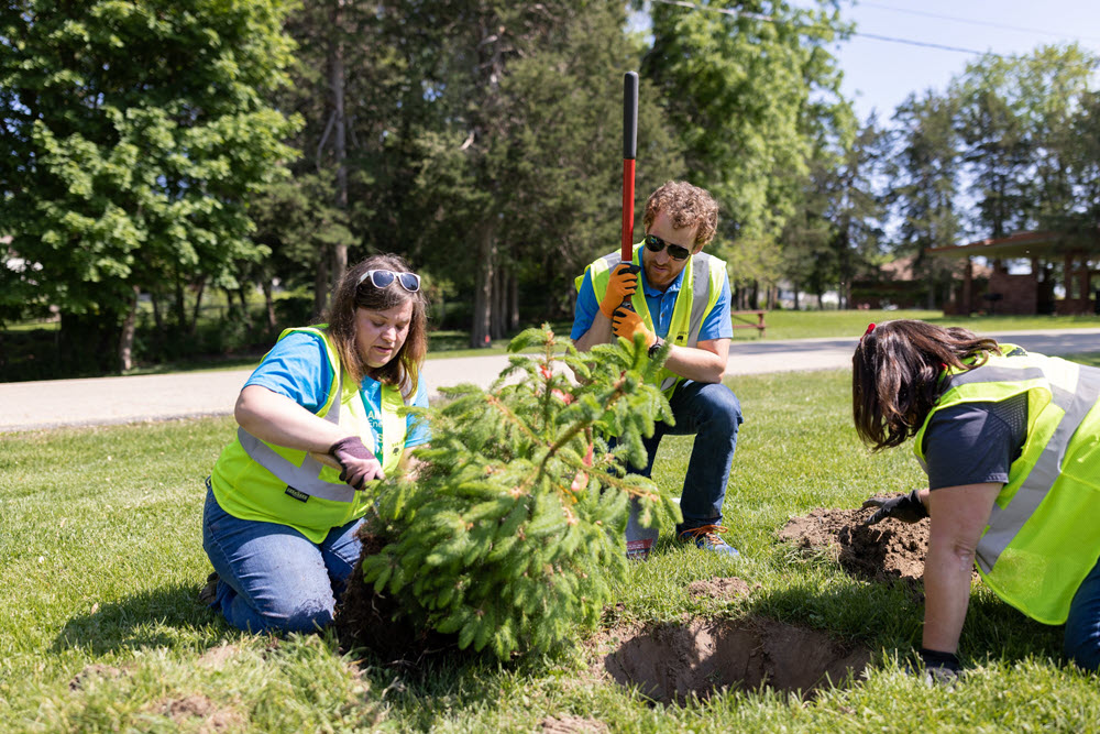 People planting trees