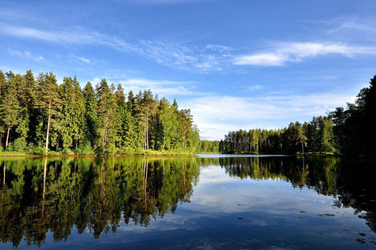 Lake lined with trees. Clear blue sky. Trees and sky reflected in the water. 