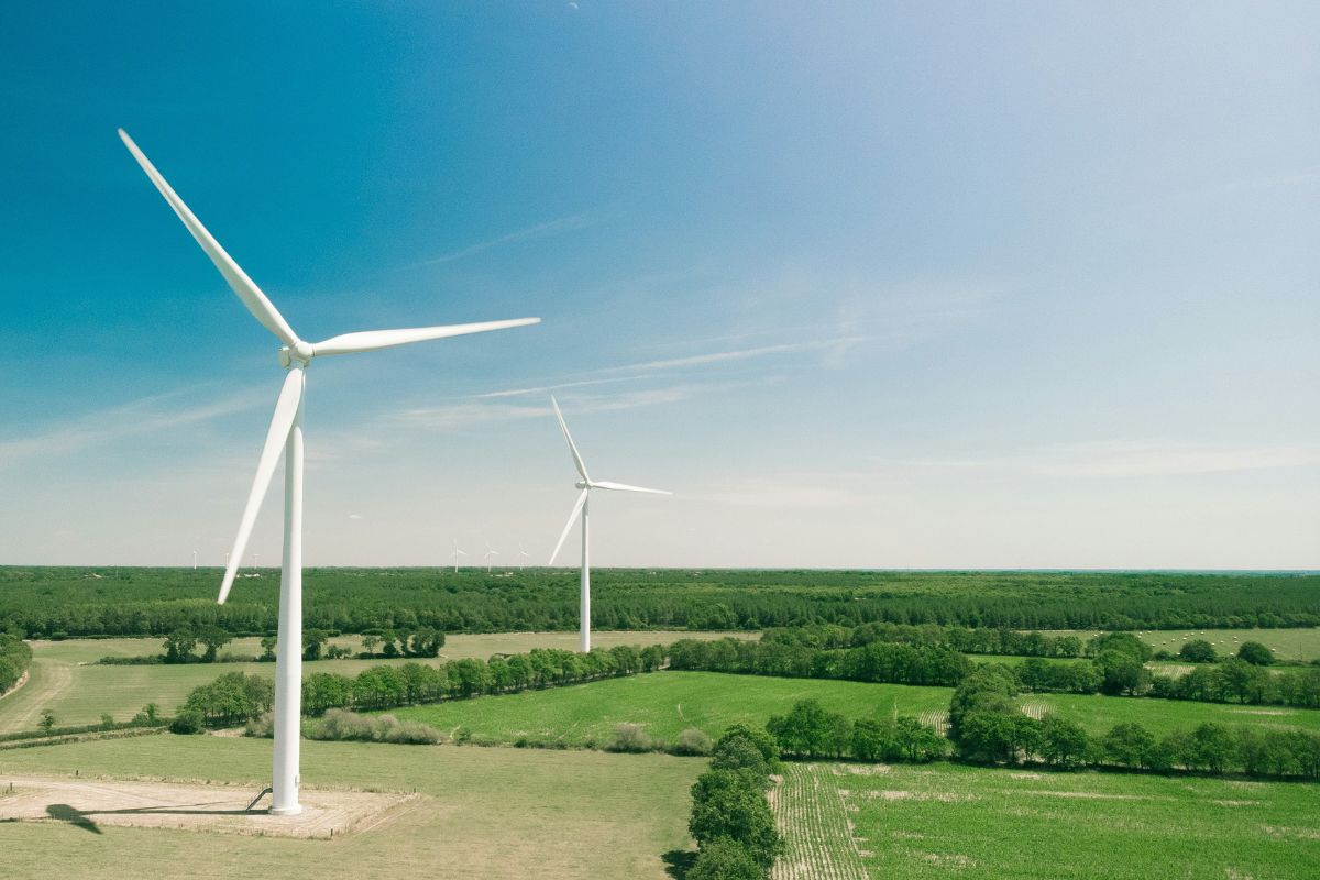 Two wind turbines in an open field lined with trees. 