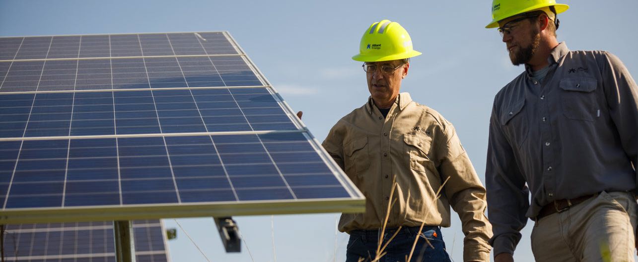 two workers in a solar farm