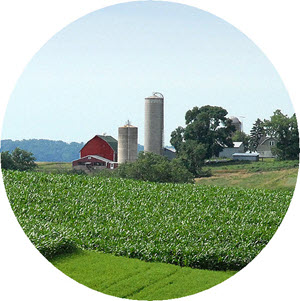 farm icon