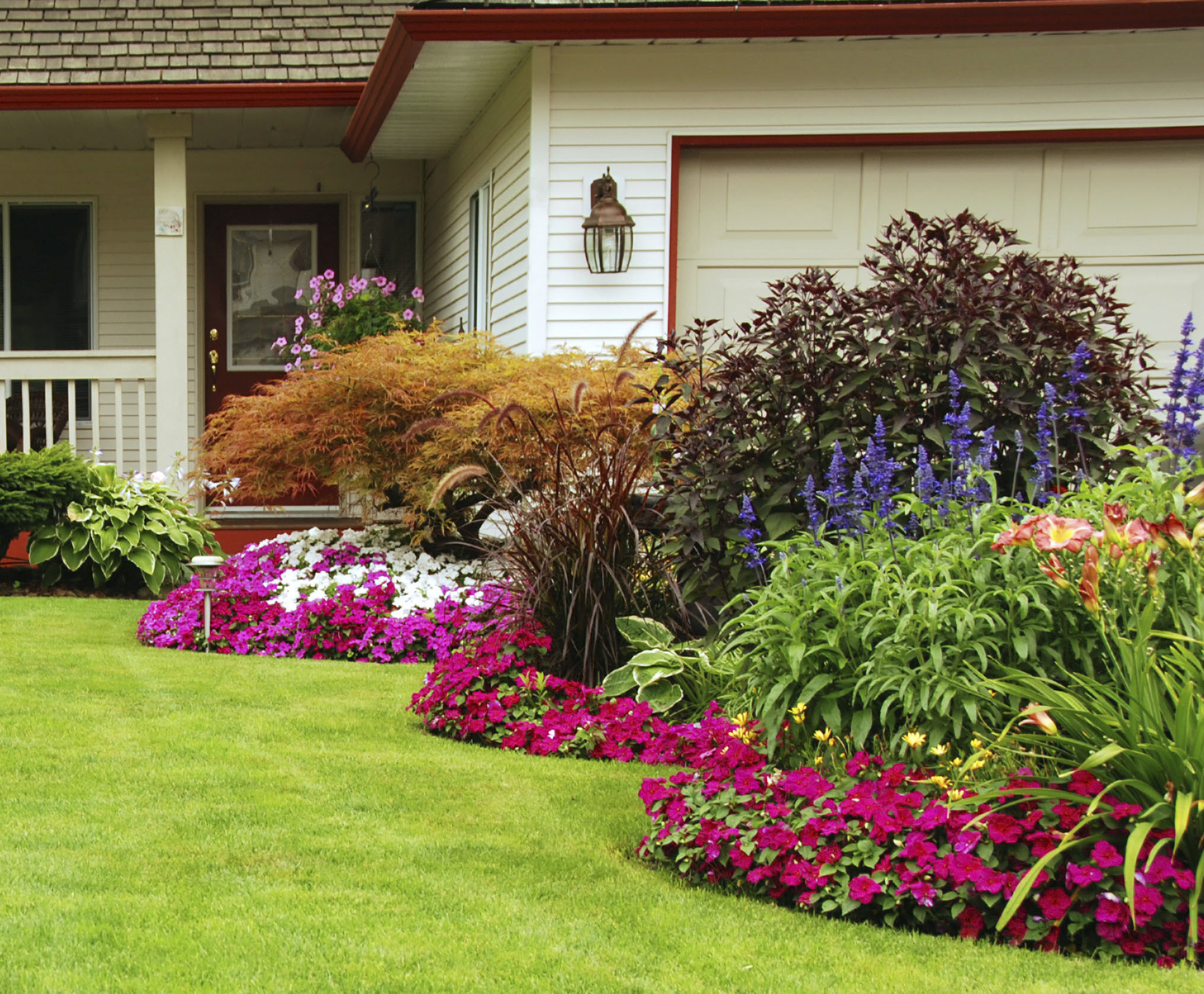 yard and flowers