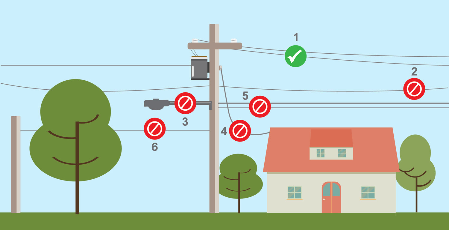 graphic of trees and power lines