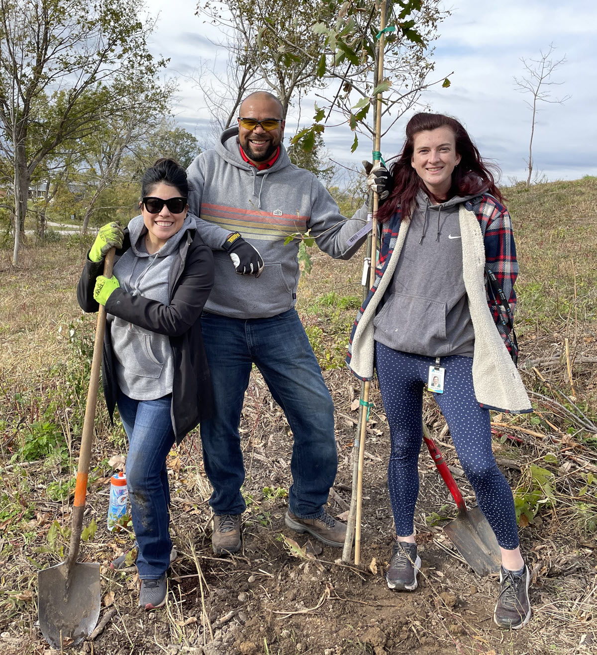 people planting trees
