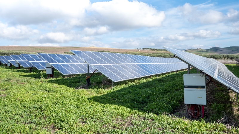Solar panel farm 