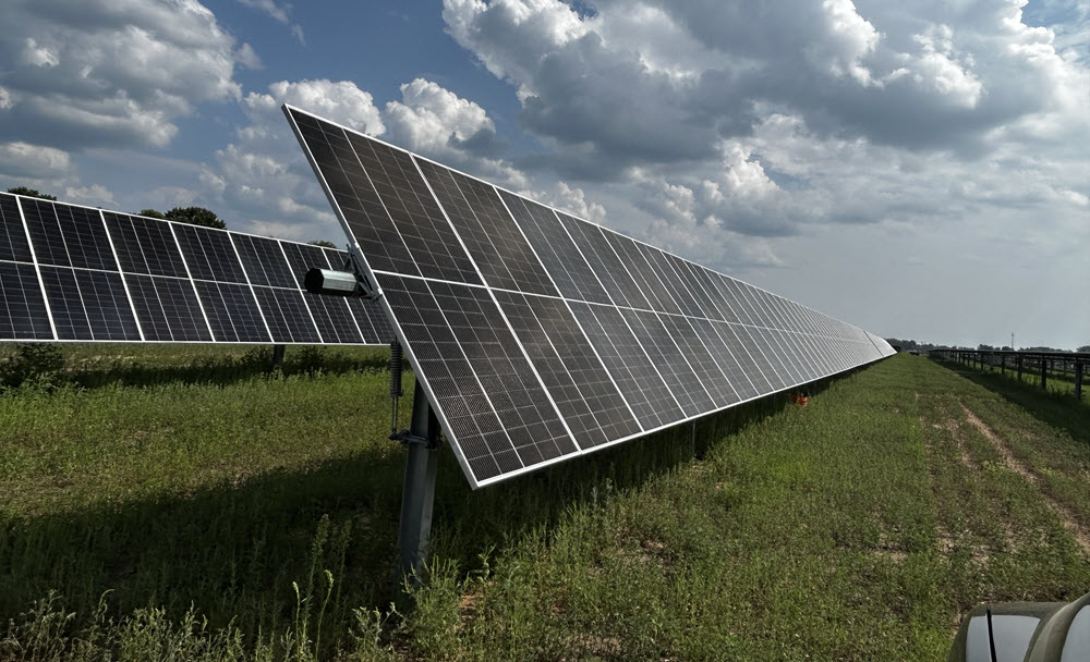 solar panels in a field