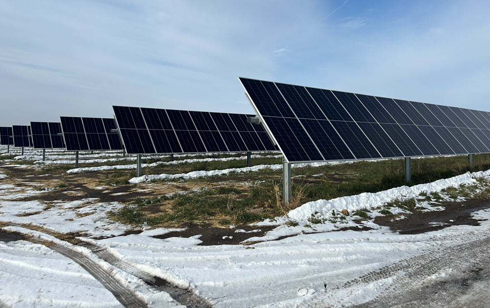 rows of solar panels