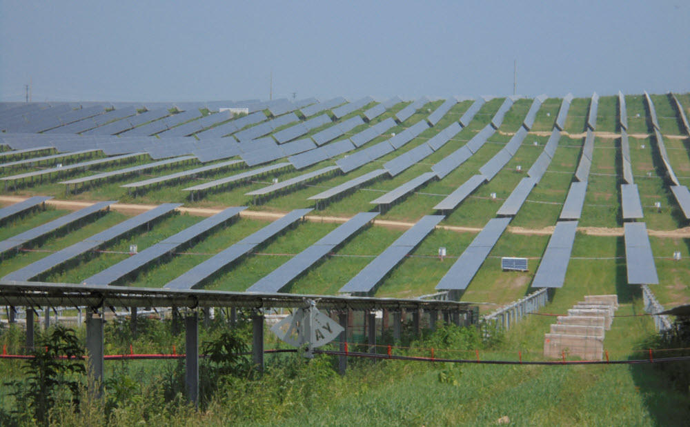 solar panels in a field