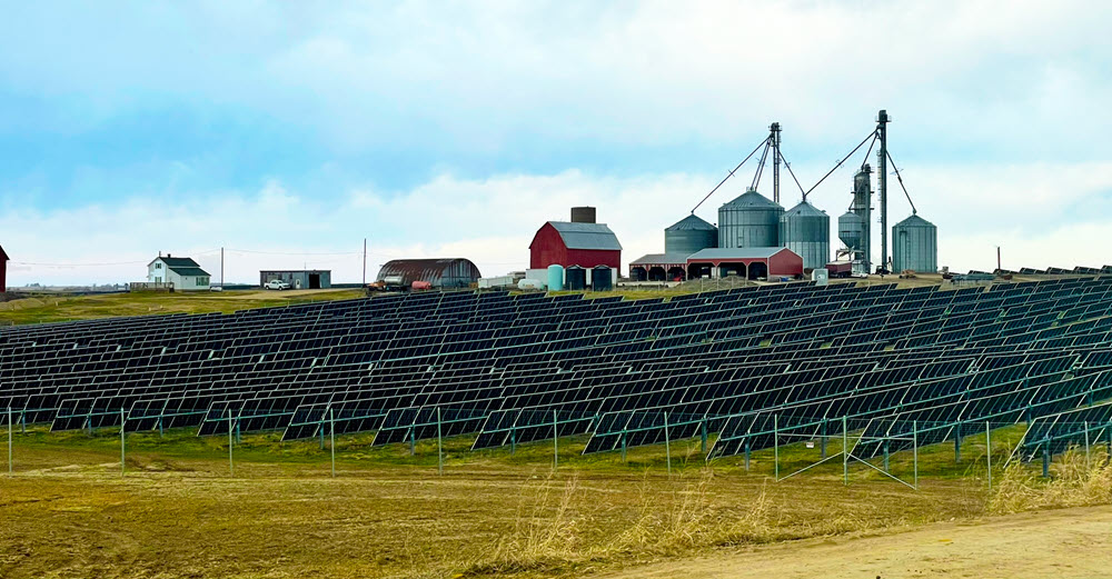 rows of solar panels