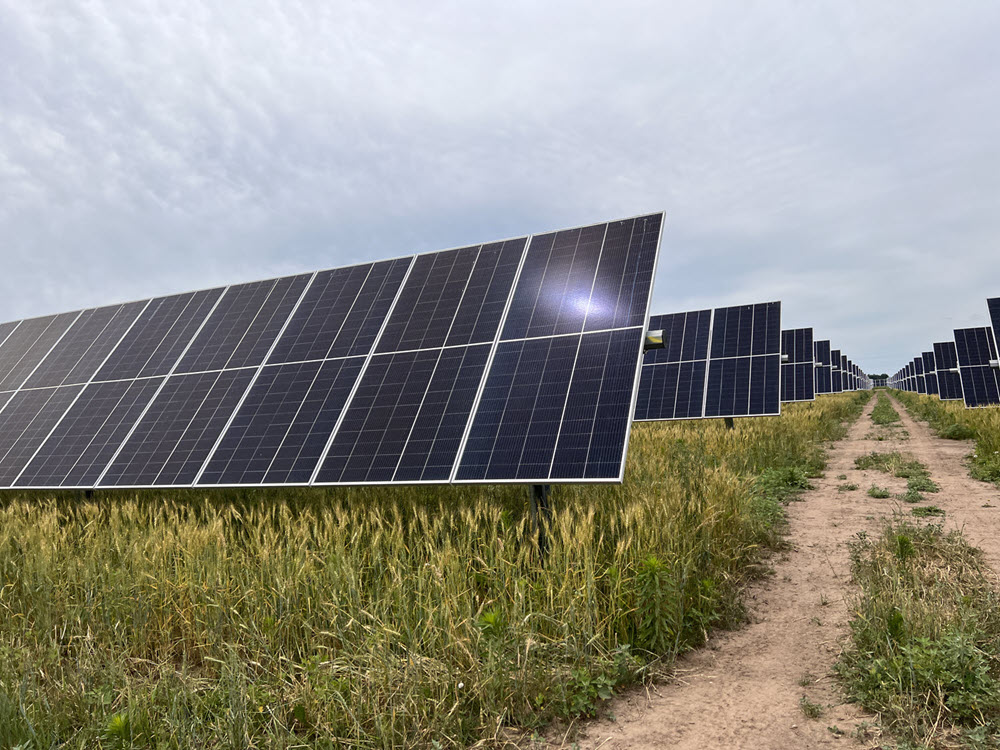 rows of solar panels at North Rock Solar