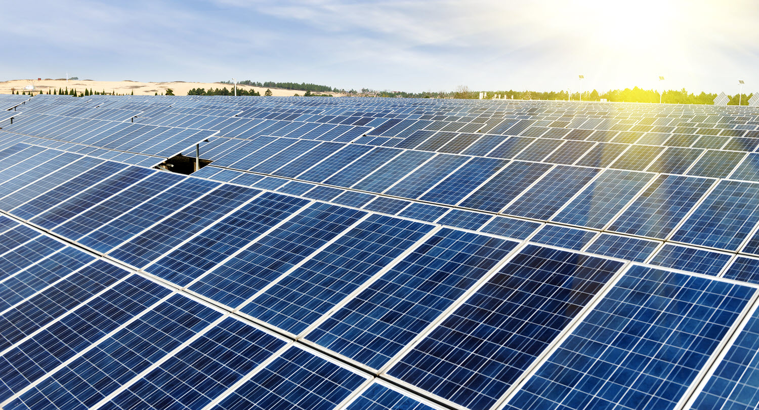 rows of solar panels
