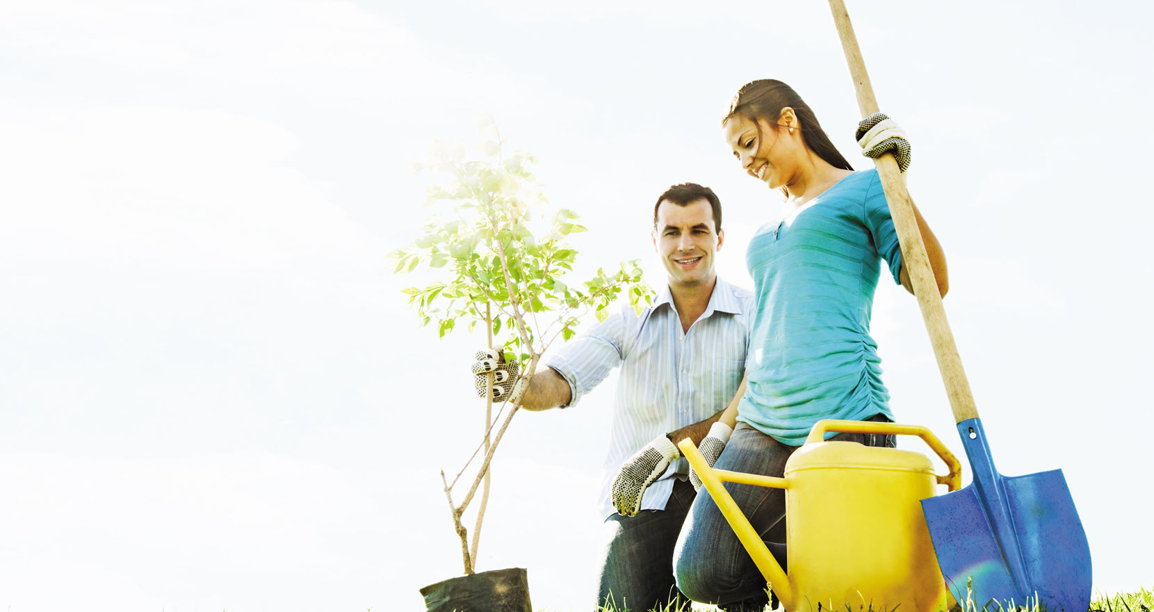 couple planting tree