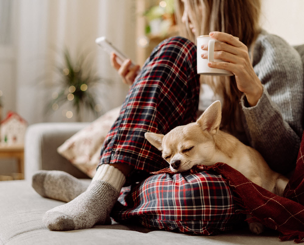 lady on a couch with a sleeping dog