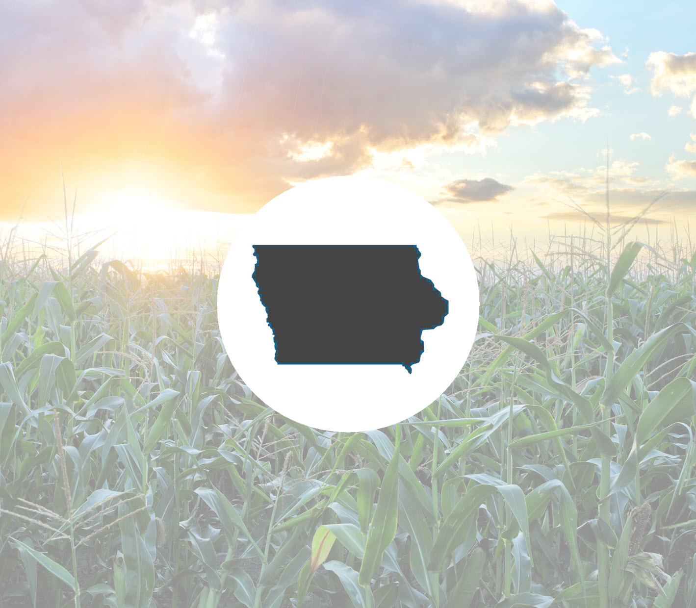 Iowa silhouette