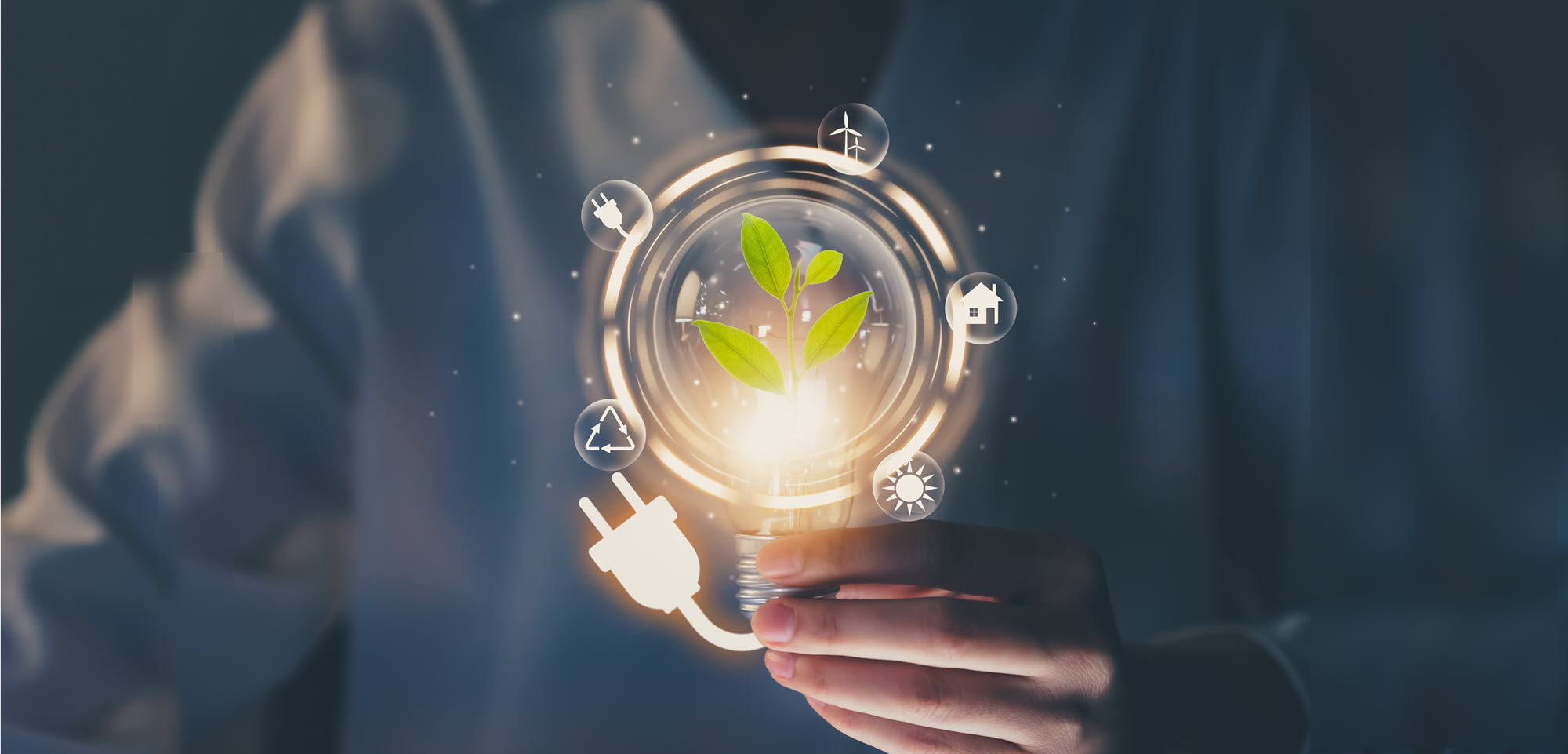 different renewable energy sources being held by a hand