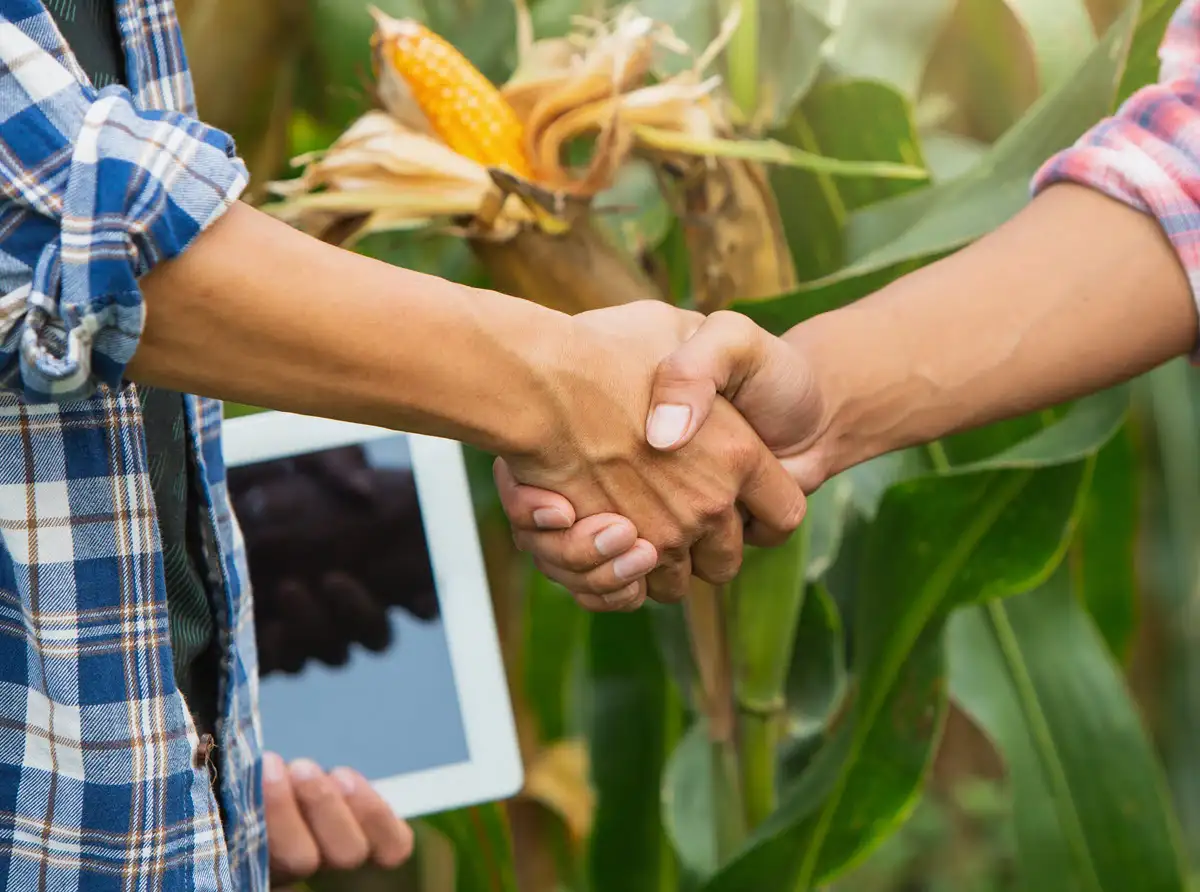People shaking hands in a farm field