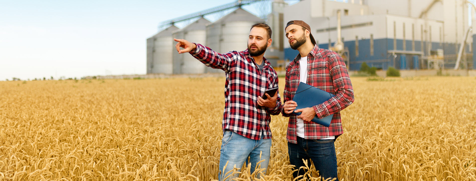 farmers in a field