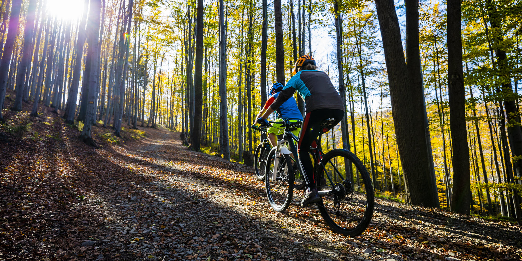 people biking on a trail in autumn