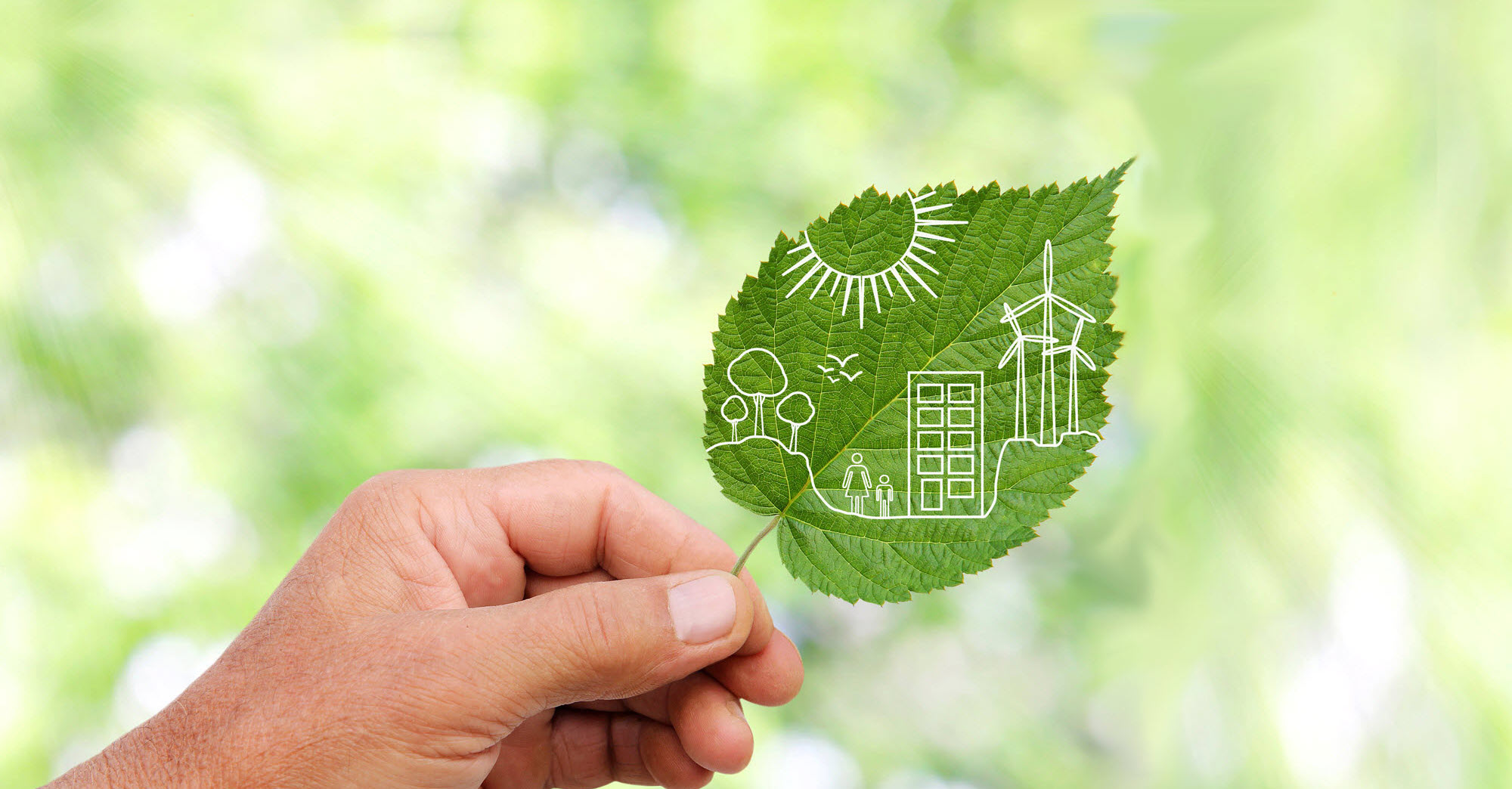 person holding up a leaf with renewable energy images on it