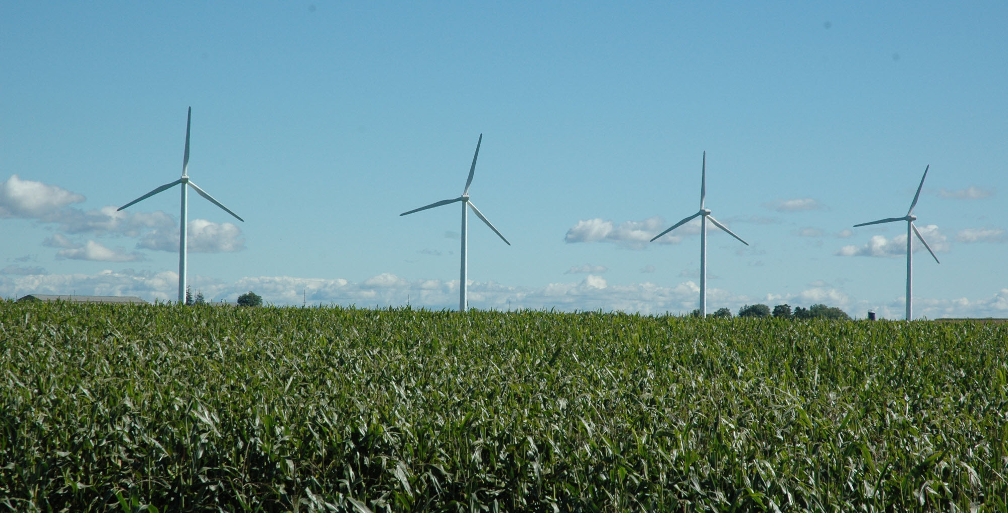 wind turbines in a field