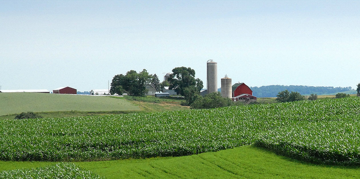 a farm on a sunny day